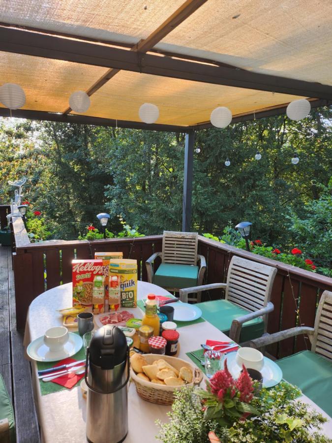 Le Chalet Du Cerf - Chambre D'Hote 索姆勒兹 外观 照片